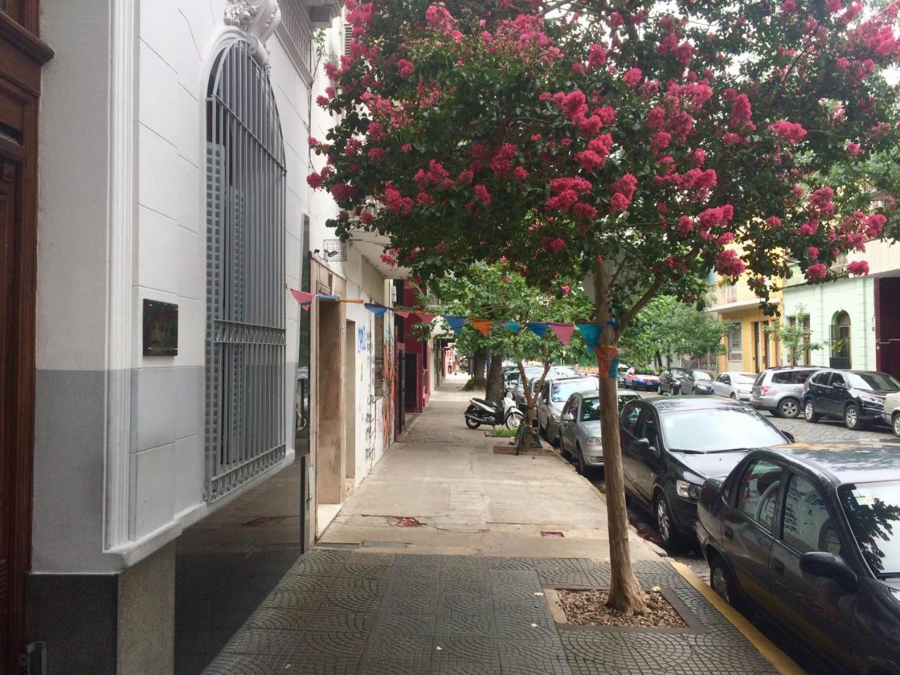 Only Women Palermo Blue Homestay Buenos Aires
