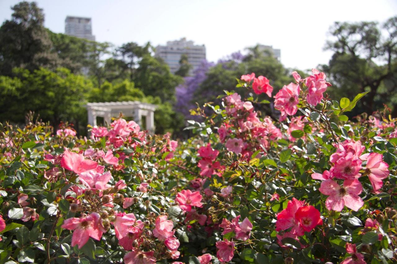 Only Women Palermo Blue Homestay Buenos Aires
