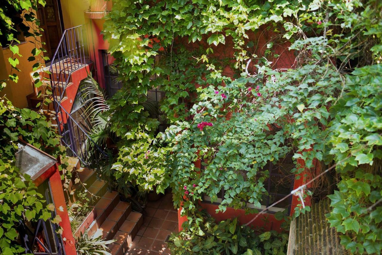Guest house La Casa De Los Pajaros *