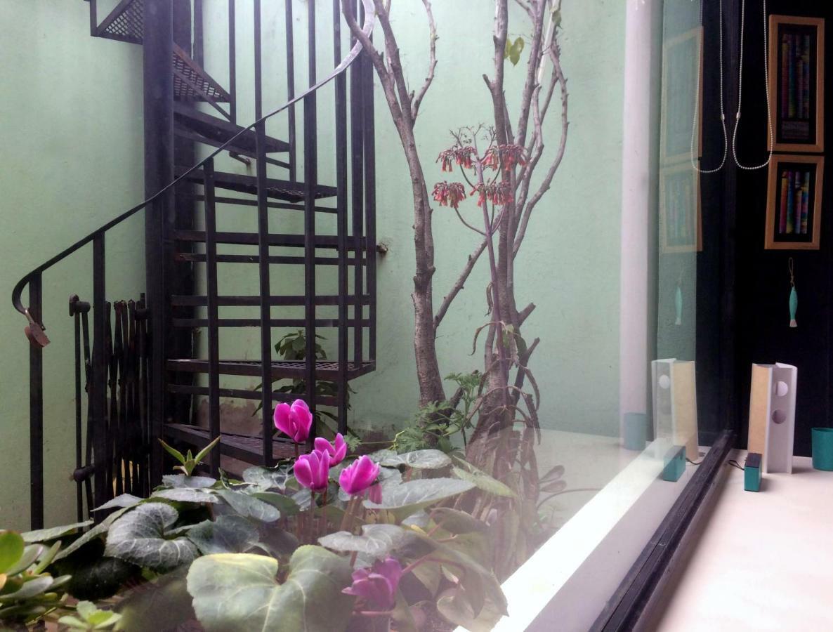 Only Women Palermo Blue Homestay Buenos Aires