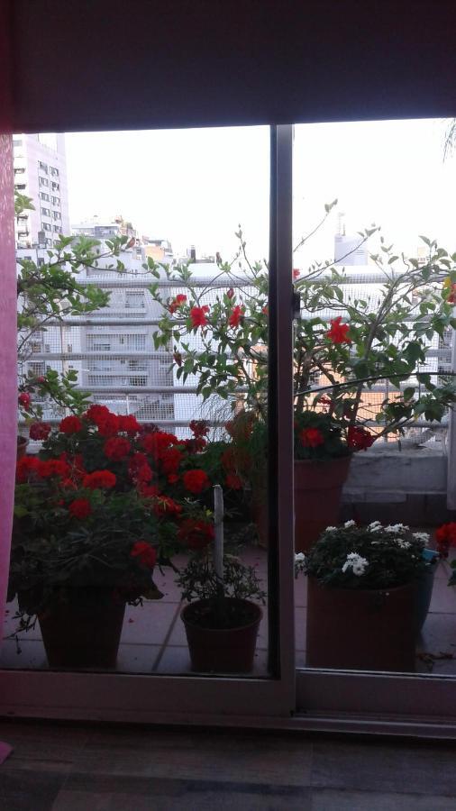 Lugar Sonado Homestay