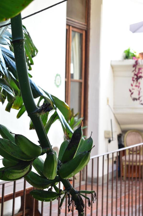 Deptos En San Telmo Kohli House Bed & Breakfast