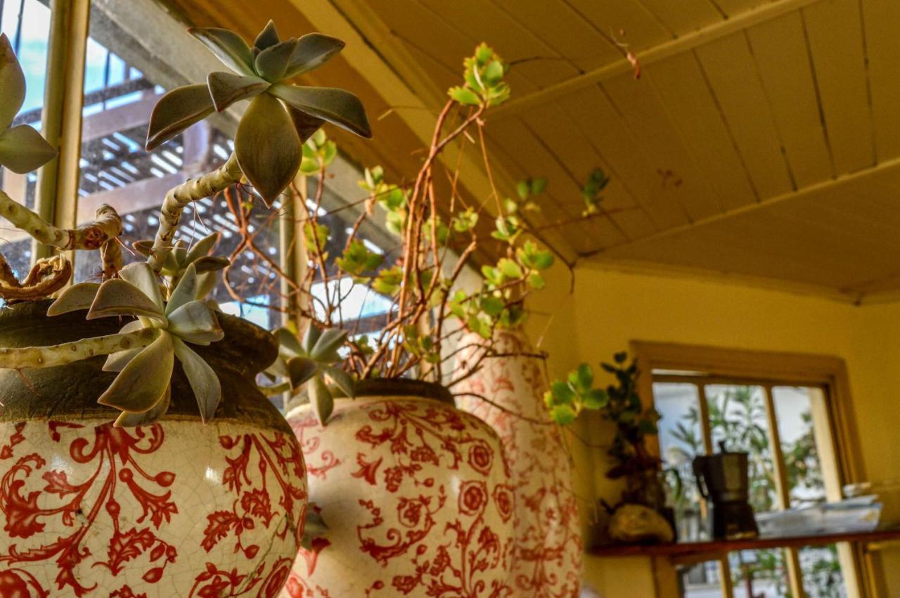 Deptos En San Telmo Kohli House Bed & Breakfast Buenos Aires