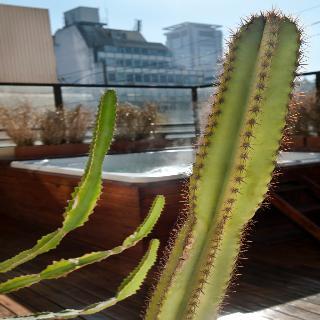 Reino Del Plata Boutique Hotel 4*