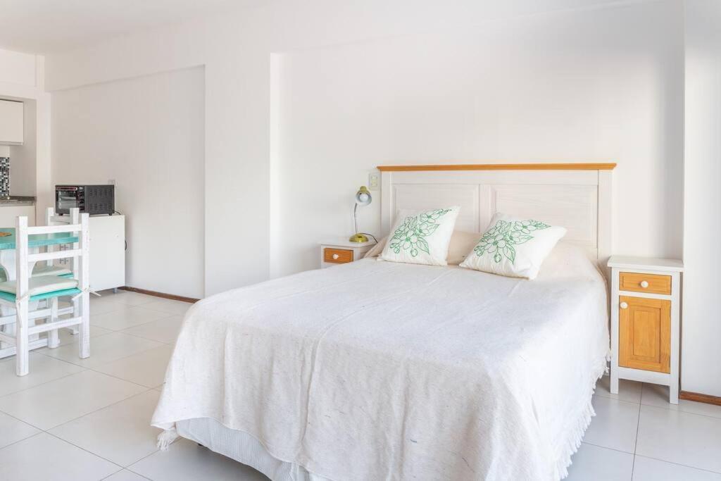 Calido Y Luminoso Departamento Apartamento Buenos Aires