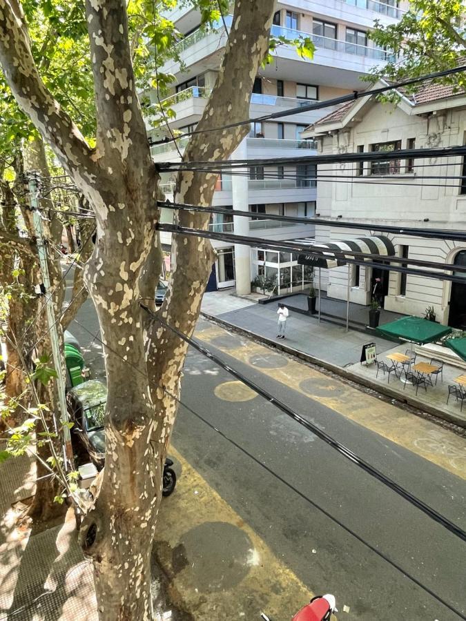 Terraza De Nicaragua * Ciudad Autónoma de Buenos Aires