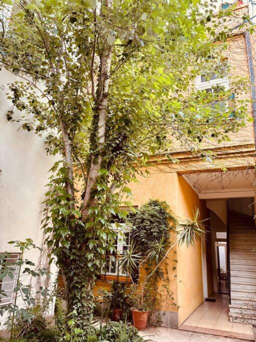 Apartment Departamento En San Telmo Reciclado A Nuevo, Supercomodo! Buenos Aires