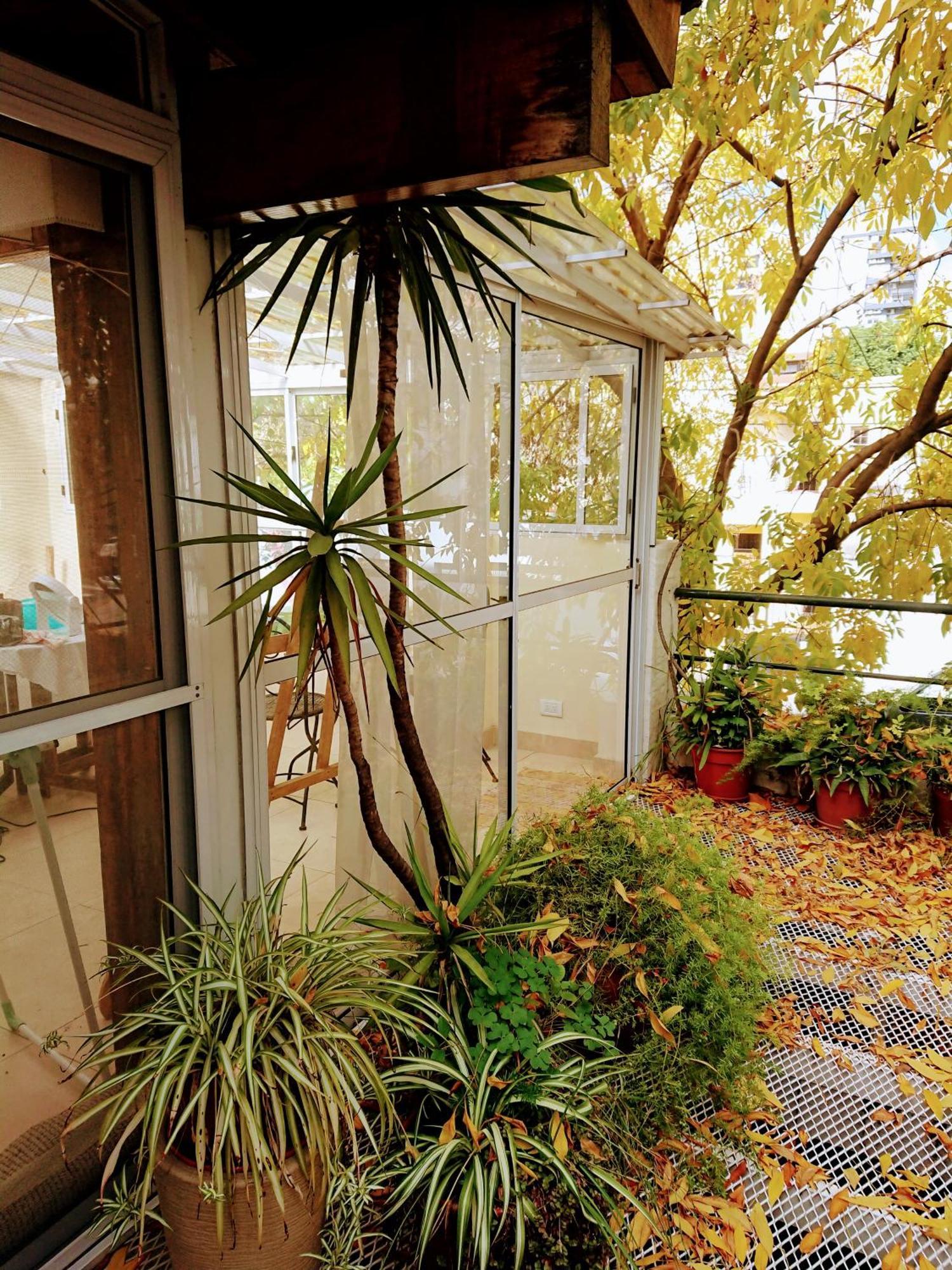 Calm House *