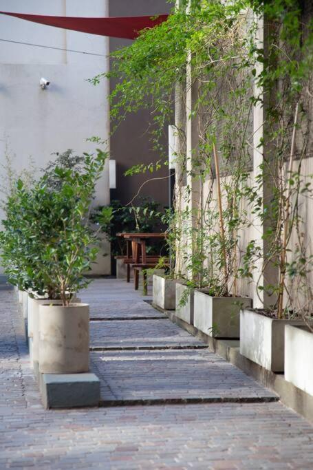 Lirio Deluxe Studio Apartment *
