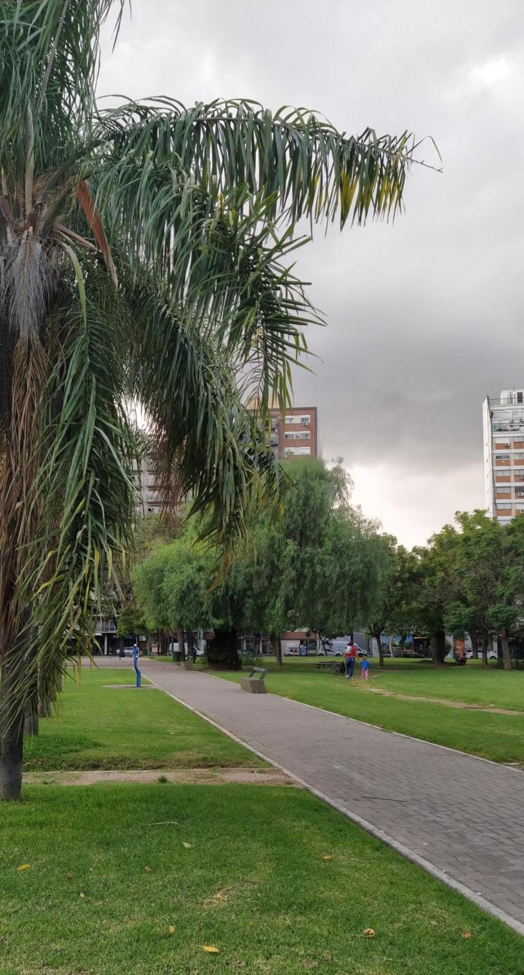 Apartamento Depto 2 Ambientes Chacarita Pque Andes - Movistar Arena Buenos Aires