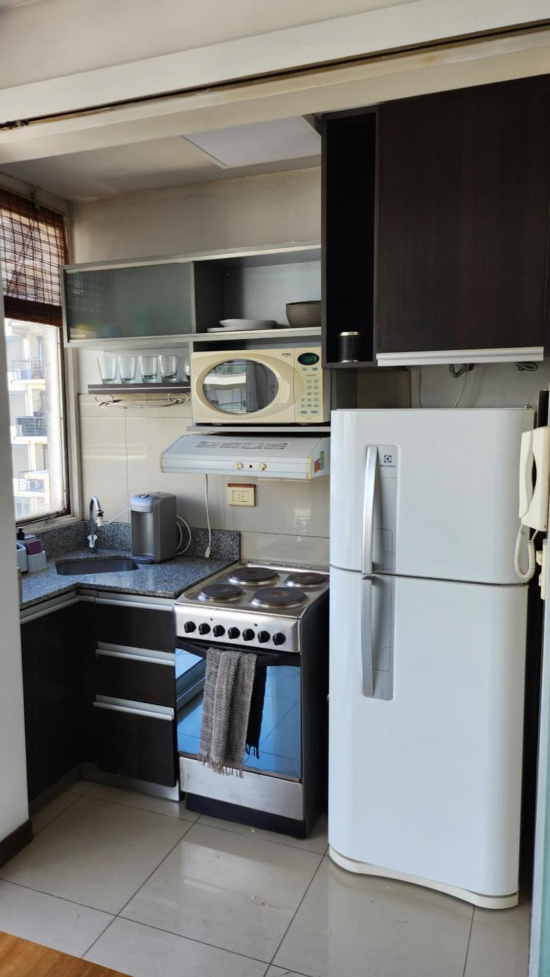 Apartment Bulnes *