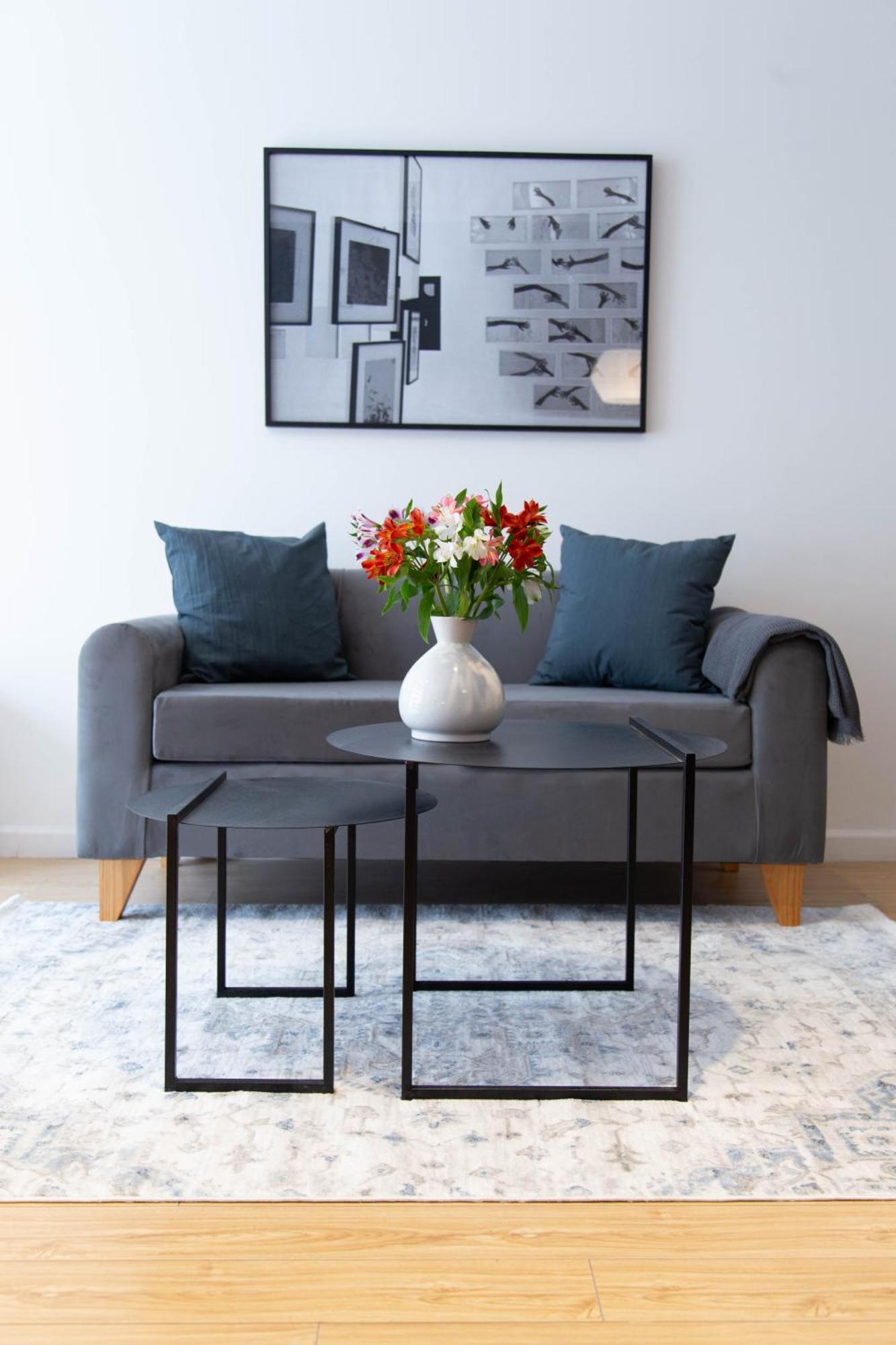 Clivia Soft Studio