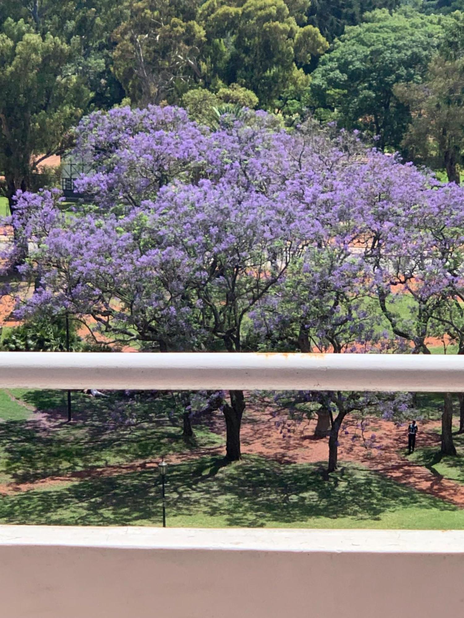 Apartamento Parques De Palermo *