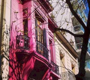 The Pink House