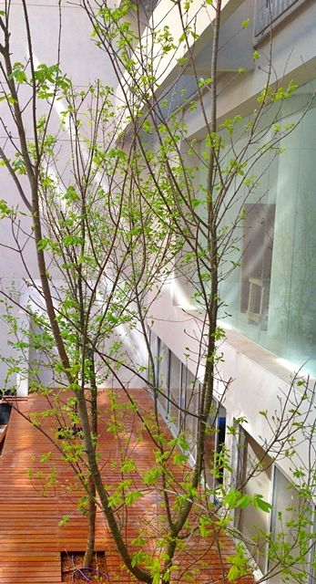 Aparthotel Riva Urban Lofts By Tay