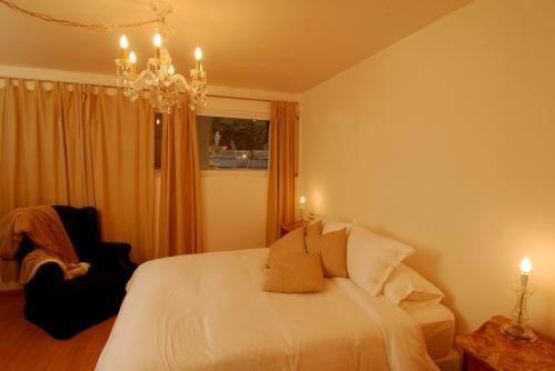 Hotel Aura Boutique Buenos Aires