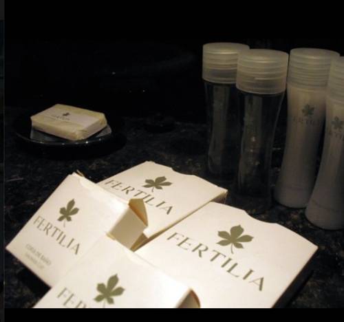 Apartahotel Fertilia Downtown 3*