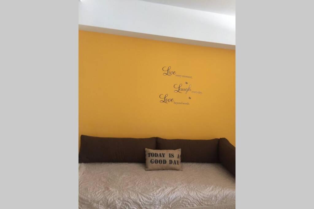 Cozy, Lots Of Light, Great Location Apartment