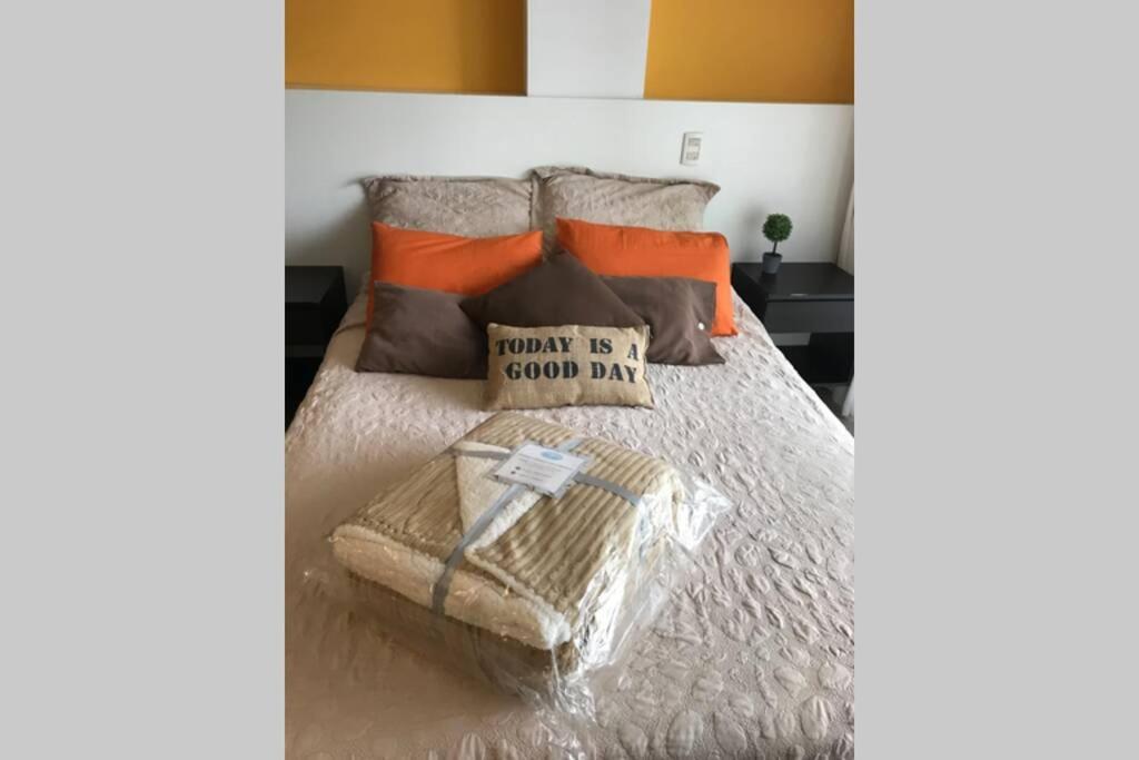 Apartment Cozy, Lots Of Light, Great Location