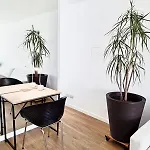 Nunez Minimal Apartment Premium Wifi 500 Mb