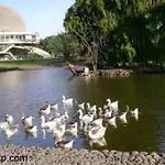 Palermo Nuevo Para Una Excelente Estadia