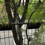 Departamento Excelente, 3 Ambientes En Caballito, Balcon A La Calle 4 Personas