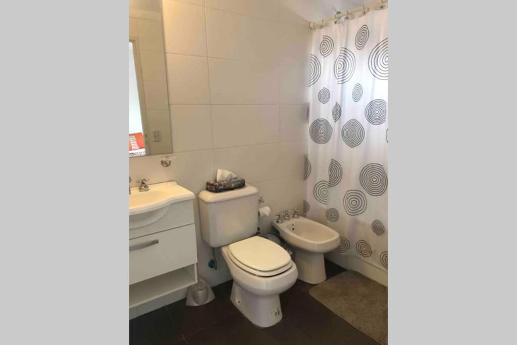 Down Town Apartment