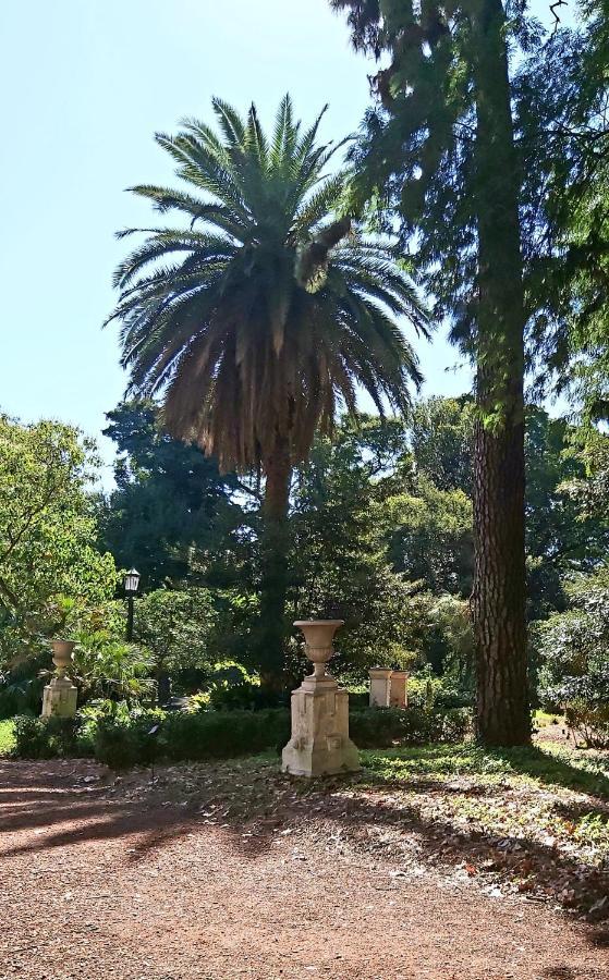 Palermo Soho Oro Y Av Santa Fe, Con Balcon A 200 De La Rural A 10 Min De Aeroparque Apartamento Buenos Aires