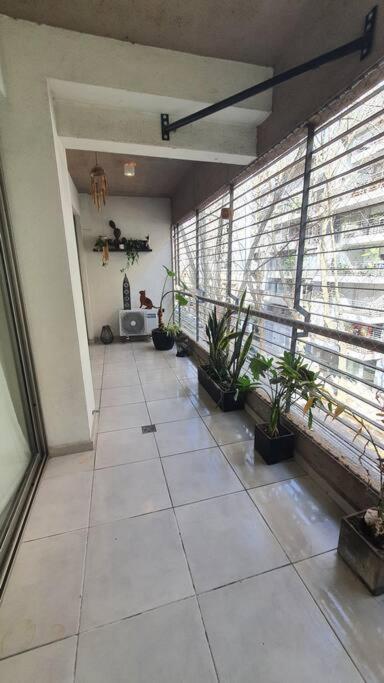 Encantador Apartamento En Palermo Apartment Buenos Aires