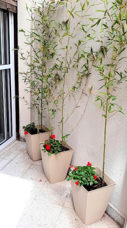 Oro Palermo Apartment *