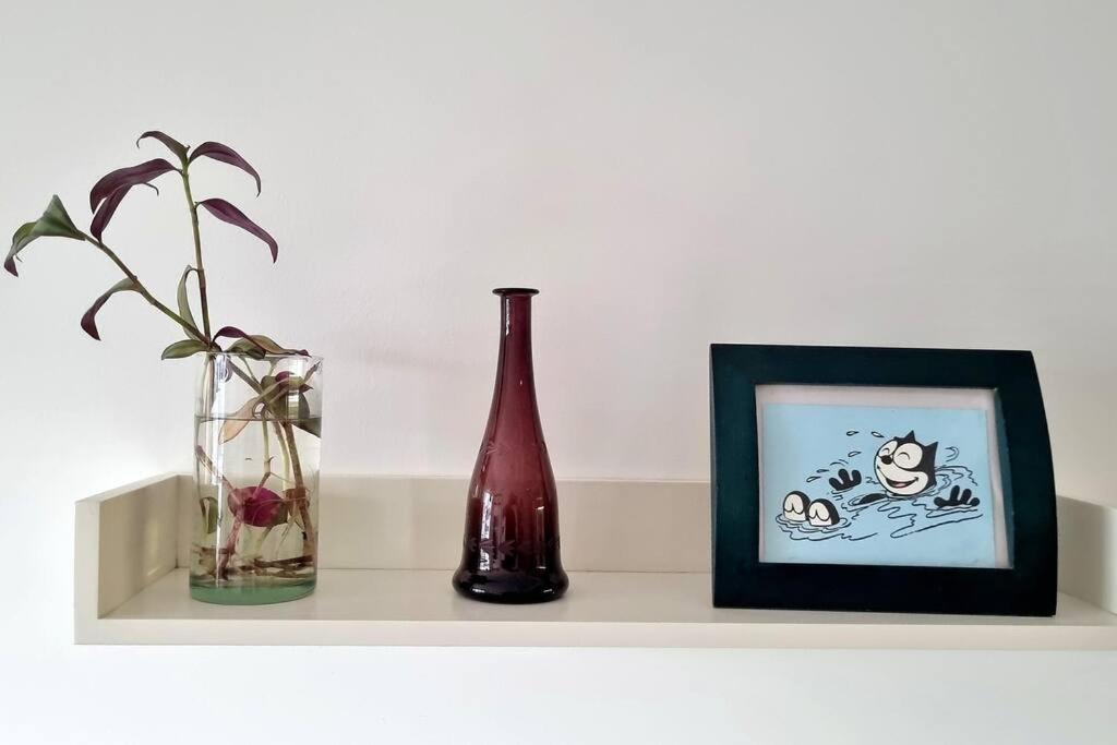 Apartamento Maravilloso Palermo