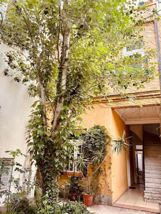 Apartment Hermoso Departamento En San Telmo