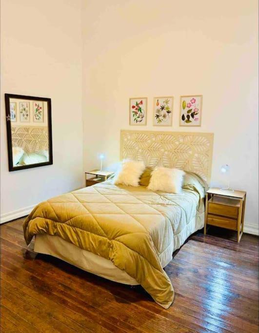 Hermoso Departamento En San Telmo