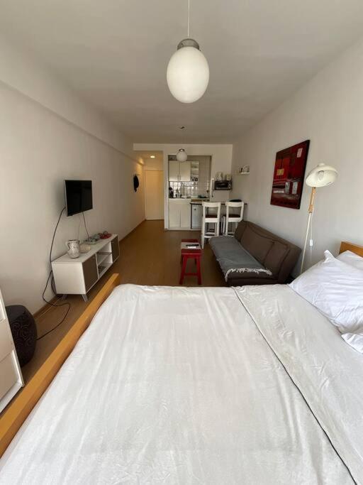 Apartment Luminoso En Palermo Soho Buenos Aires