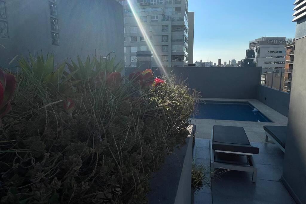 Charming In Palermo Buenos Aires