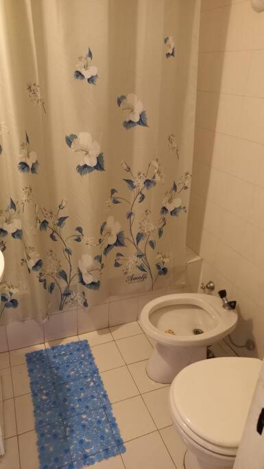 Apartamento Av.alvear/patio Bullrich/four Seasons Area.