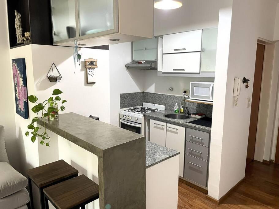 Apartamento Roosevelt *