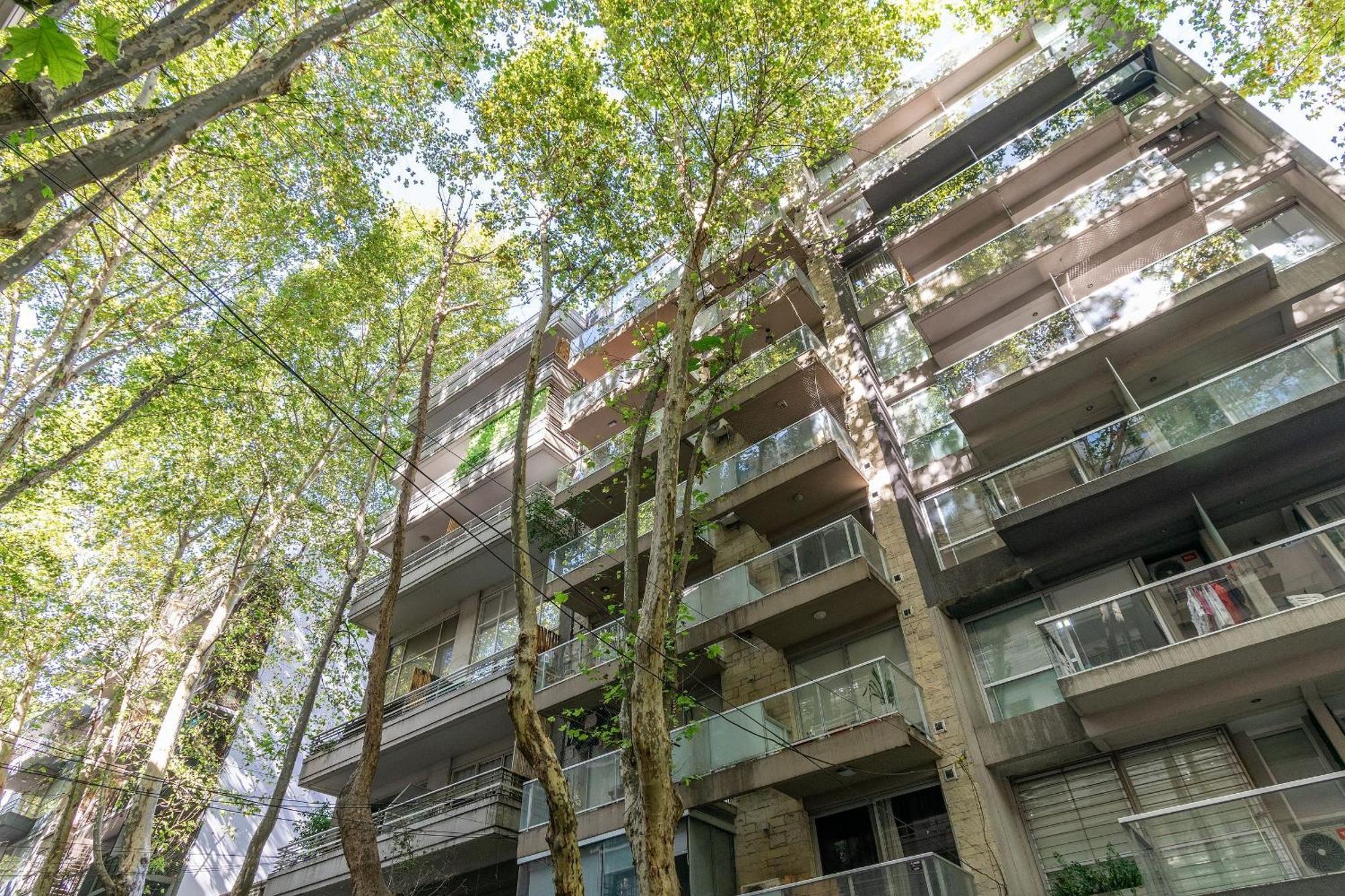 Apartment Luz Y Tranquilidad En Alturas De Palermo