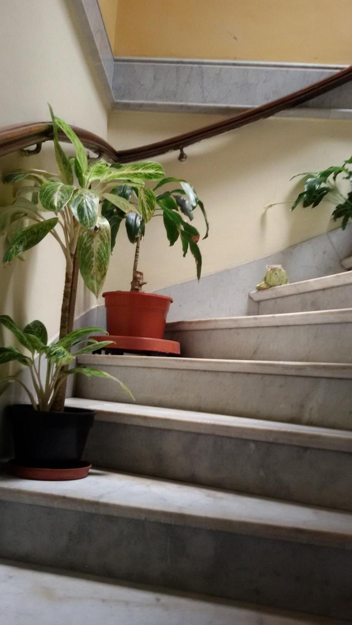 San Telmo Hospedagem domiciliar