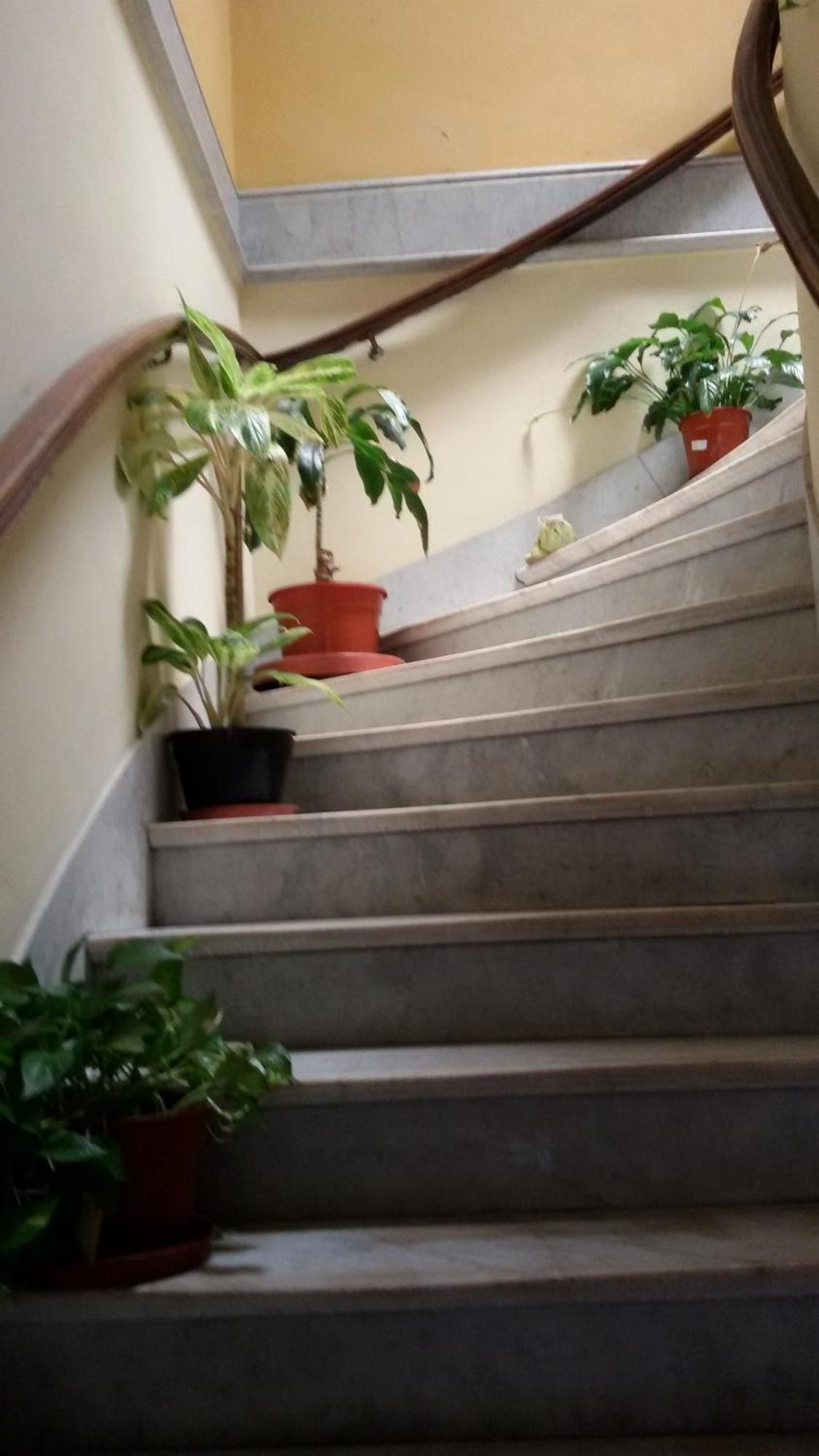 Hospedagem domiciliar San Telmo *