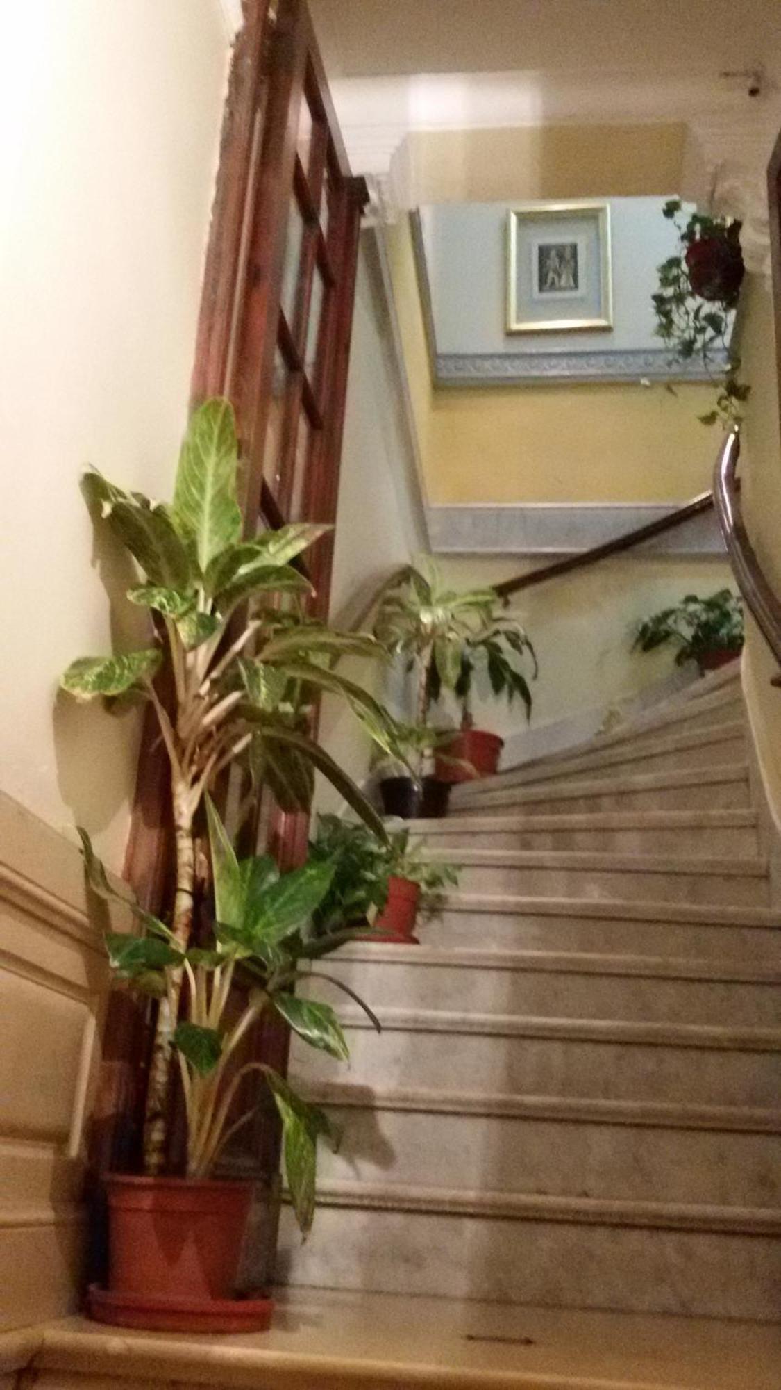 Hospedagem domiciliar San Telmo *