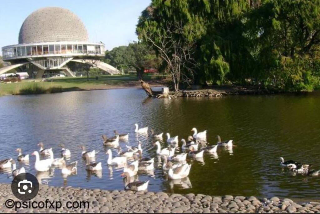 Palermo Nuevo Excelente *