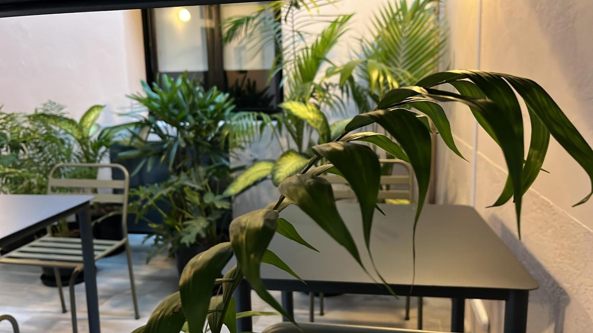 Aparthotel Charcas Palermo Soho