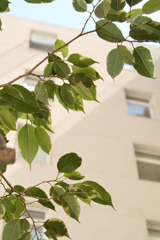 America Del Sur Hostel Buenos Aires