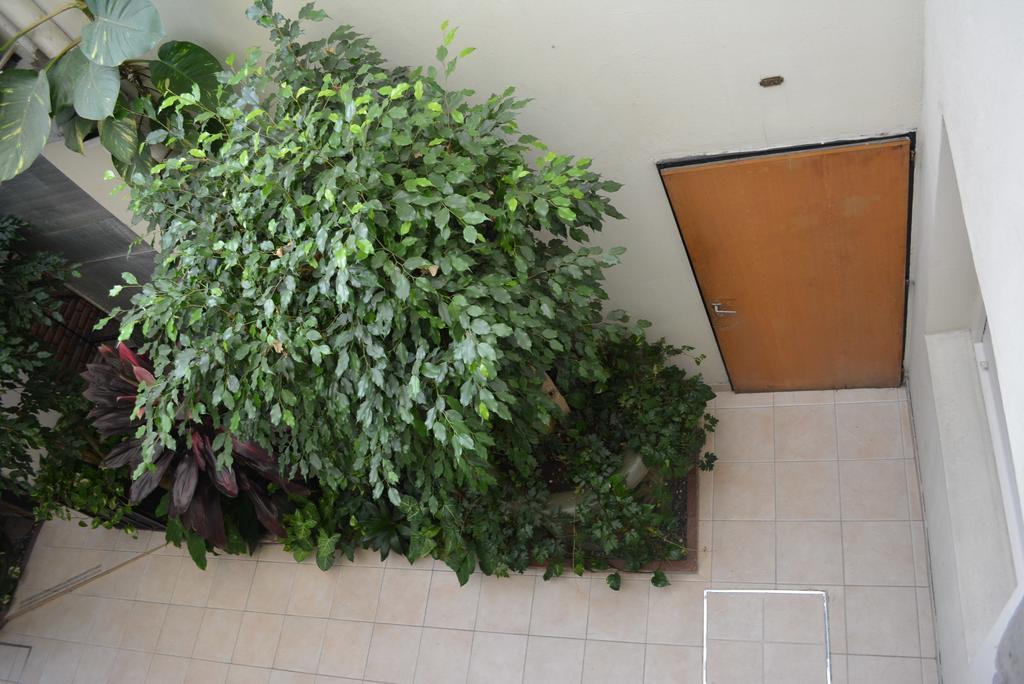 Americano Hostel *