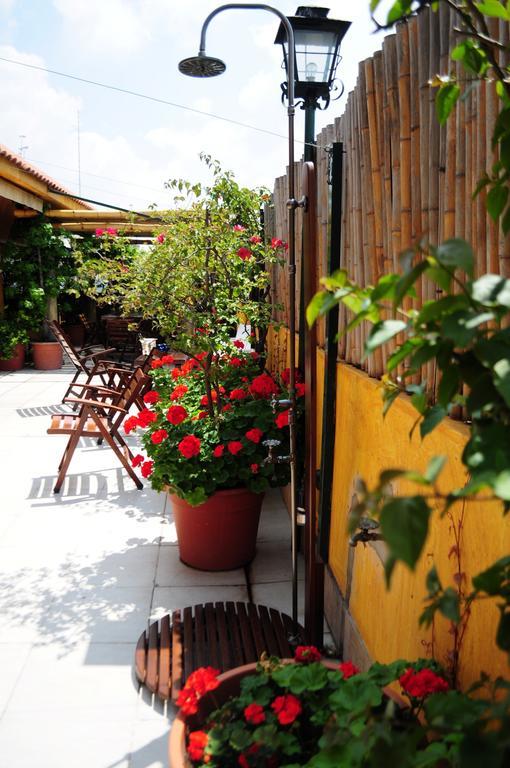 Bed & Breakfast Optimus Ba 2*