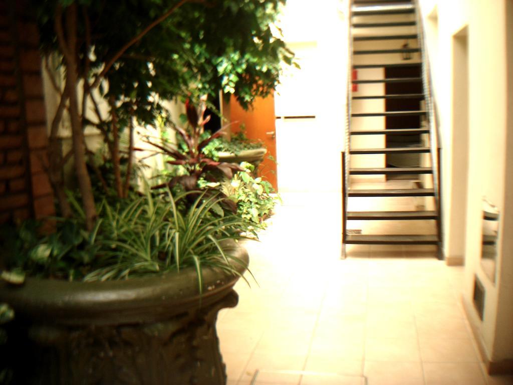 Hostel Americano