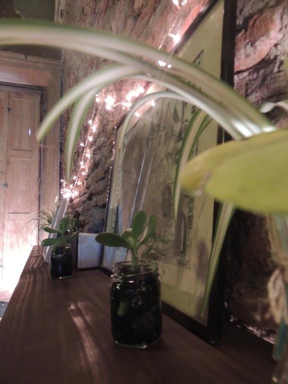 Hostel Kilca Backpacker