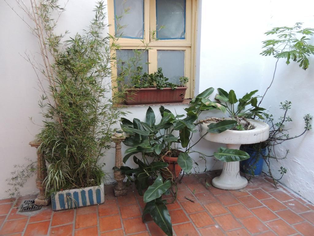 Hostel Kilca Backpacker