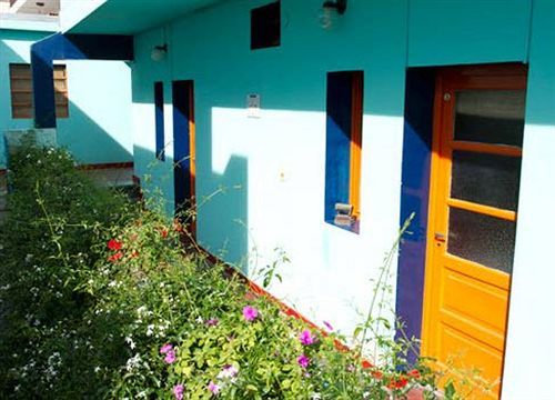 Hostel Pampa Belgrano *